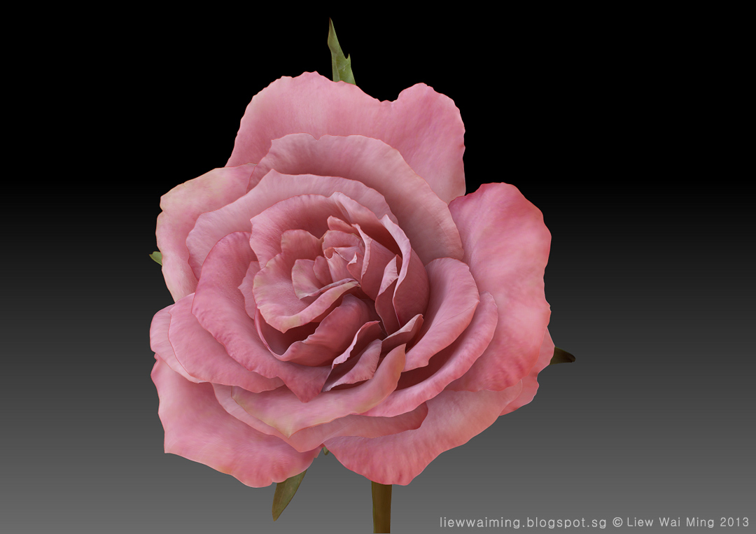 making a rose in zbrush