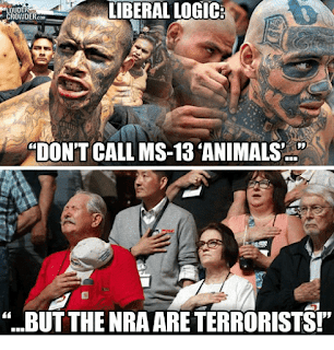 dont-call-ms-13-animals-but-future-democrat-voters.png