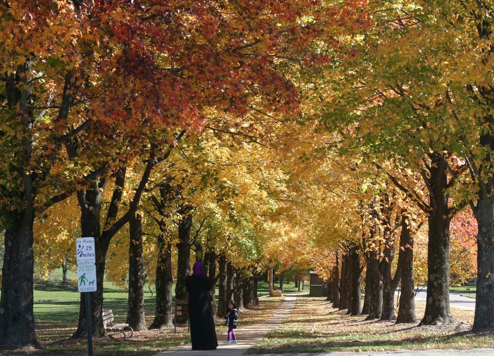 City of Rolla, Missouri Ber Juan Park showcases fall colors