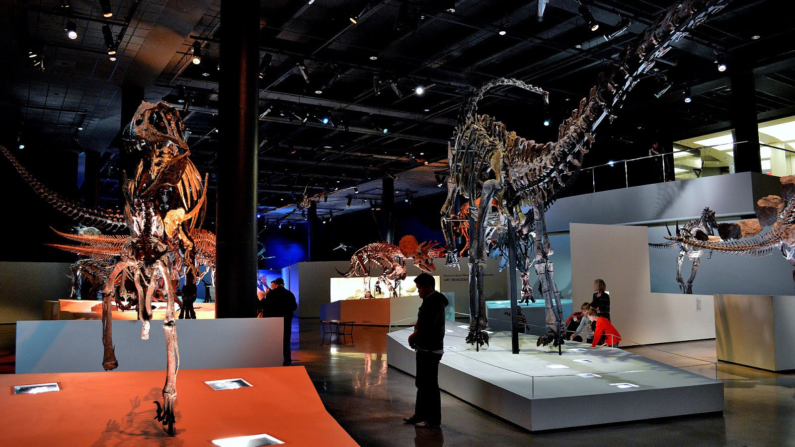 Houston Museum of Natural Science Trip to Museum