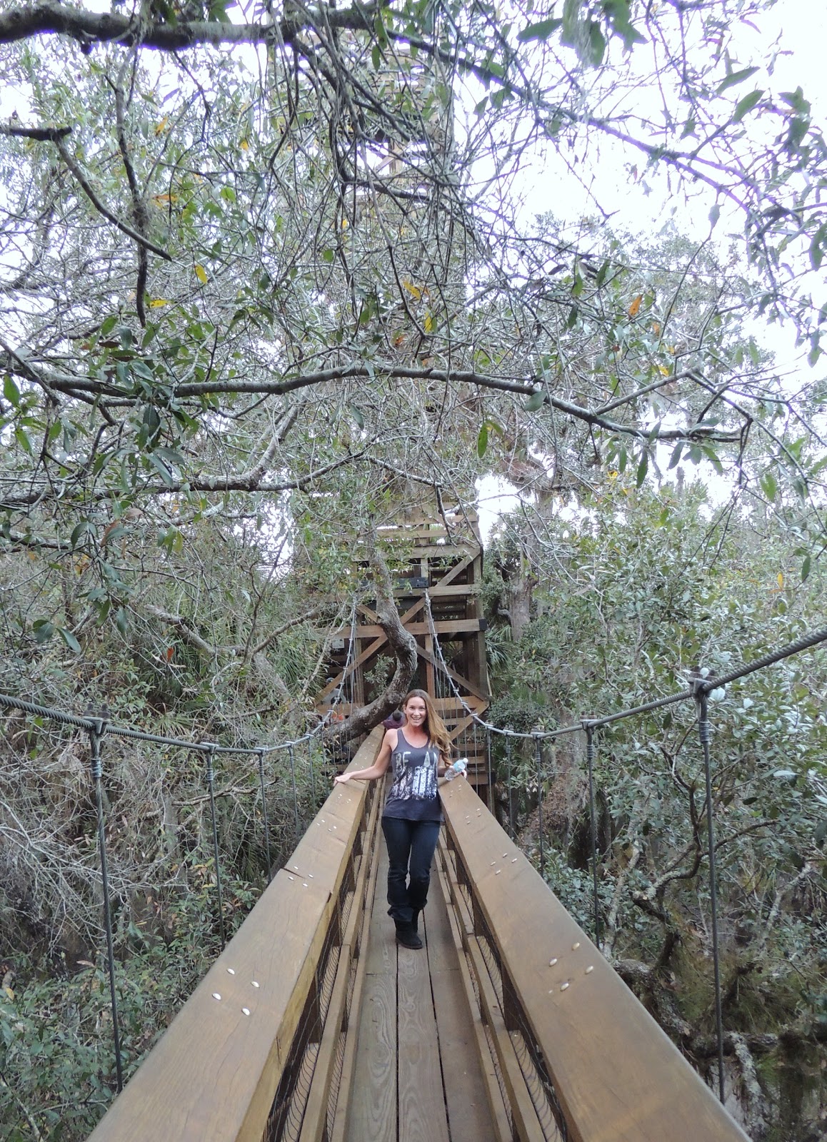 1000 Hikes in 1000 Days Day 750 Canopy Walk Myakka River State Park