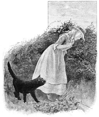 North Cornwall Fairies and Legends (Illustrated)