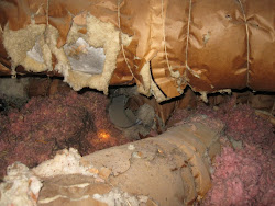 this is what a totally disconnected duct  in your attic looks like!