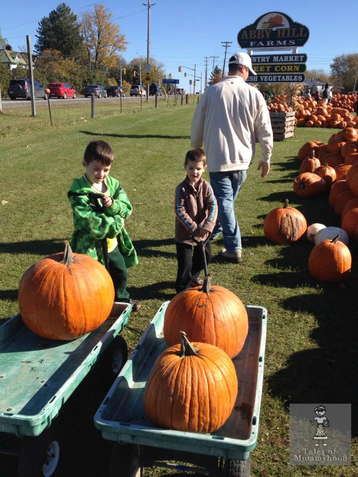 Tales of Mommyhood 9 Family Fun Fall Activities In Ottawa