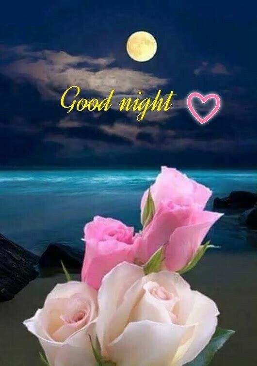good night cute images