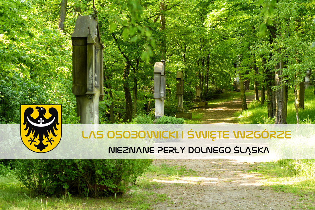 Nieznane perły Dolnego Śląska - las Osobowicki we Wrocławiu