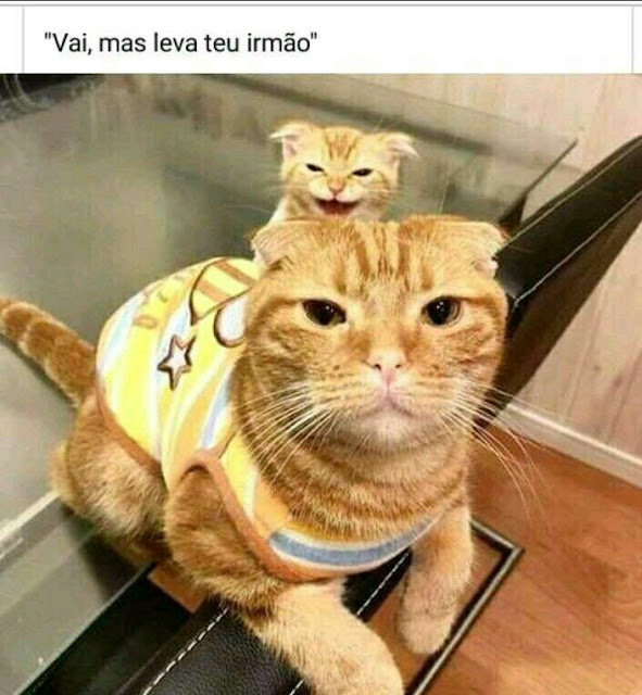 Memes engraçados Memes engraçados