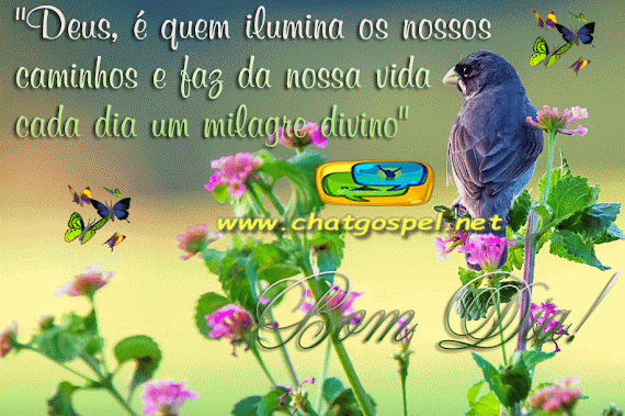 Frases Evangelicas De Bom Dia