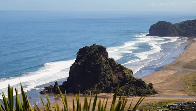 View over Piha beach on a day trip from Devonport Auckland