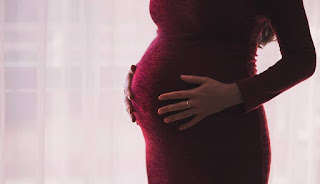 hamil-22-minggu-perkembangan-janin