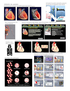 Cardiovascular samples to win interactive multimedia work.