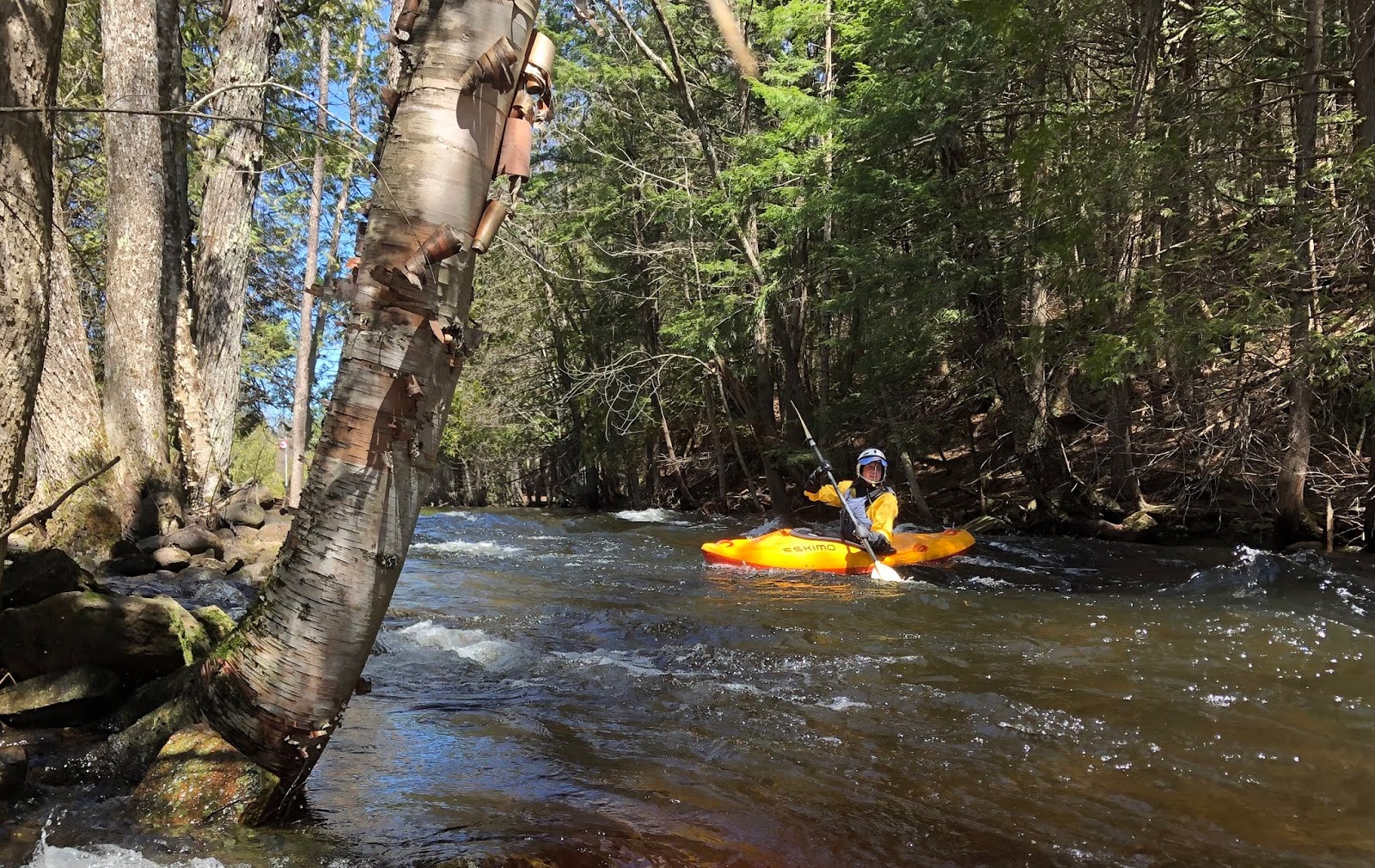 QCRivers petite Rouge (Outaouais) amont de Namur