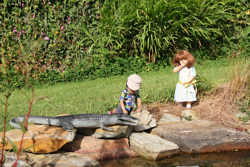 Holidays with Henry Cornwall Holiday 2016 the Crocodile and the Frog