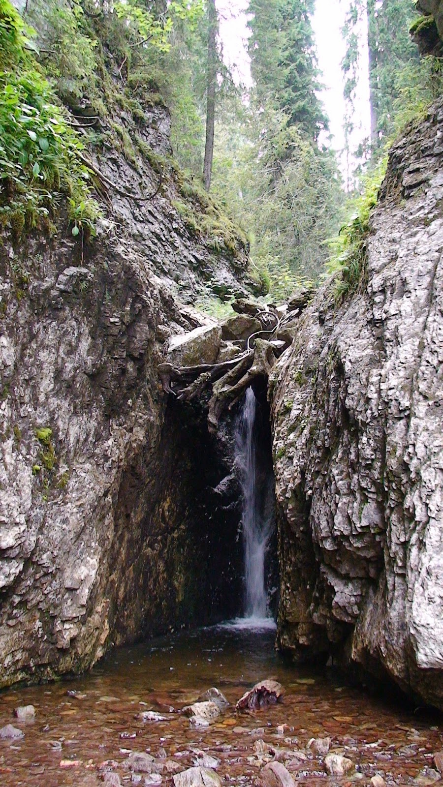 TUDOR PHOTO BLOG: Pestera Cetatile Radesei - Padis,Muntii Apuseni ...