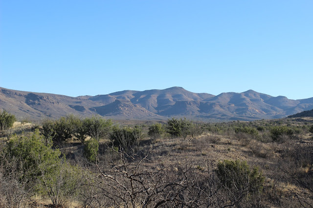 Guided%2BCoues%2BDeer%2BHunts%2Bin%2BSonora%2BMexico%2Bwith%2BJay%2BScott%2Band%2BDarr%2BColburn%2BDIY%2Band%2BFully%2BOutfitted%2B40.JPG