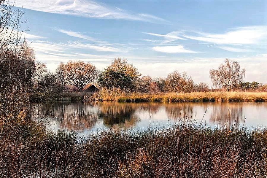 Fieggentrio Nationaal Park De Groote Peel