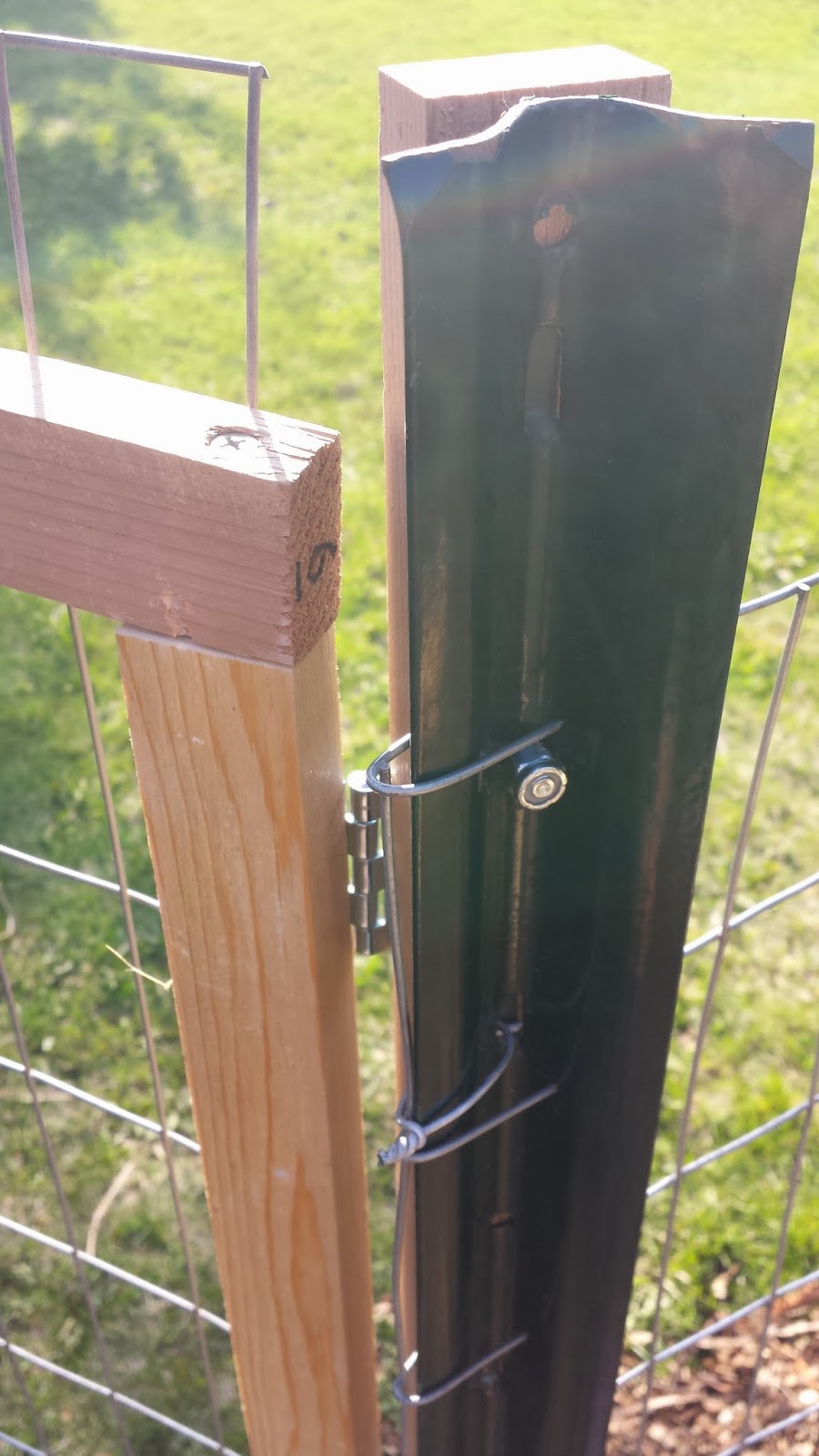 Sara's Blog 2nd weekend of May Fence gate and more wood chips