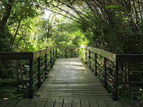 bamboo covered path at Zhishan Park in Taipei