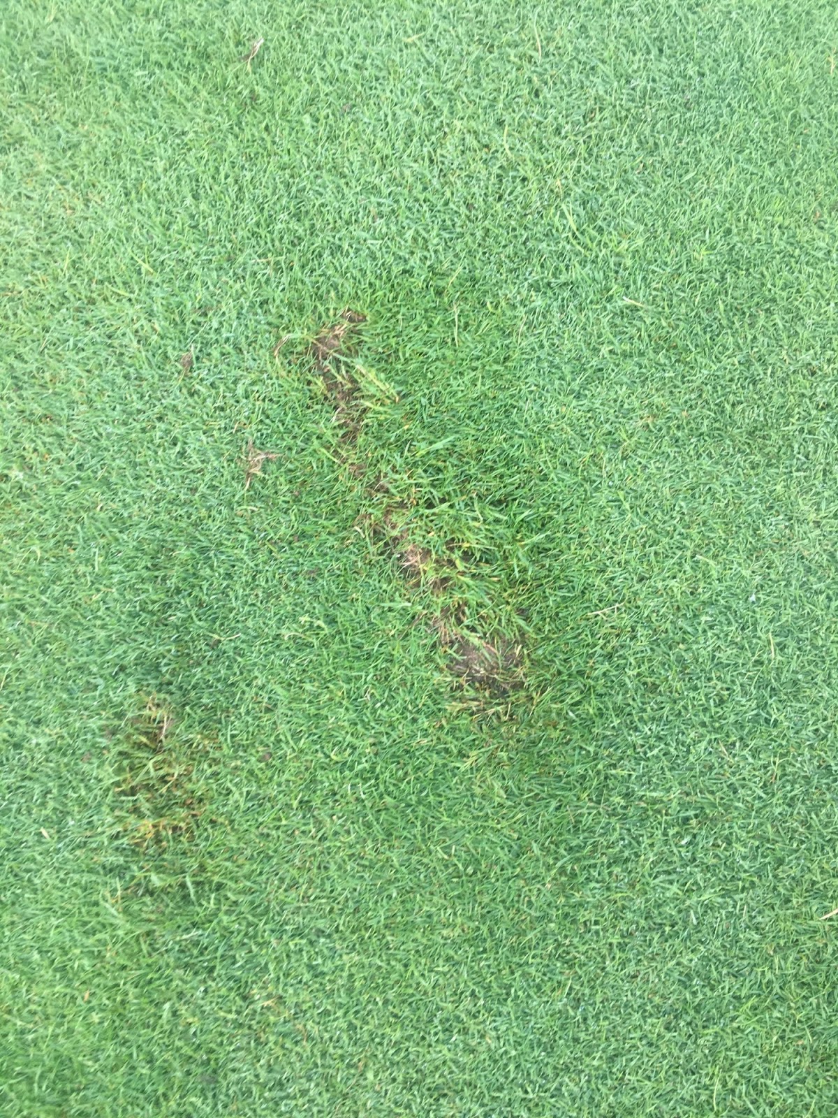 Treesdale Golf and Country Club Golf Course Maintenance Divots & Divot Mix