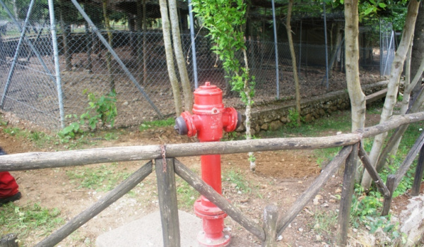 Ολοκλήρωση του έργου «Ενίσχυση πυροπροστασίας βουνού Καστοριάς» (φωτογραφίες)