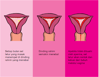 cara mengobati penebalan dinding rahim secara herbal