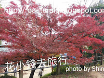 2018年12月四國紅葉速報(更新12月5日)