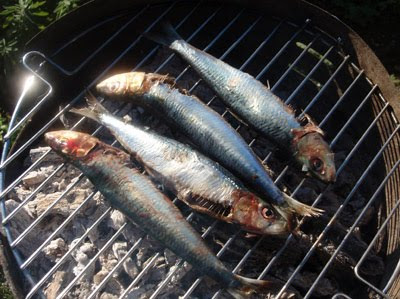 barbacoa de sardinas