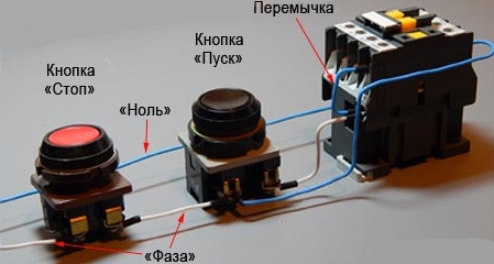 Цветы должны быть политы Цветы должны быть политы