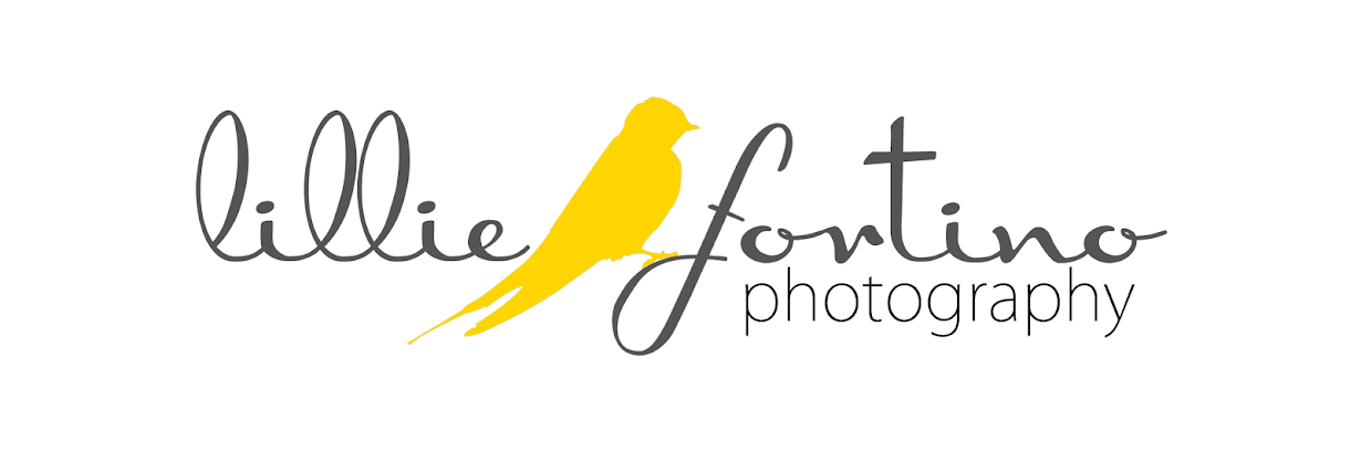 Lillie Fortino Photography, Fairfield County, Connecticut