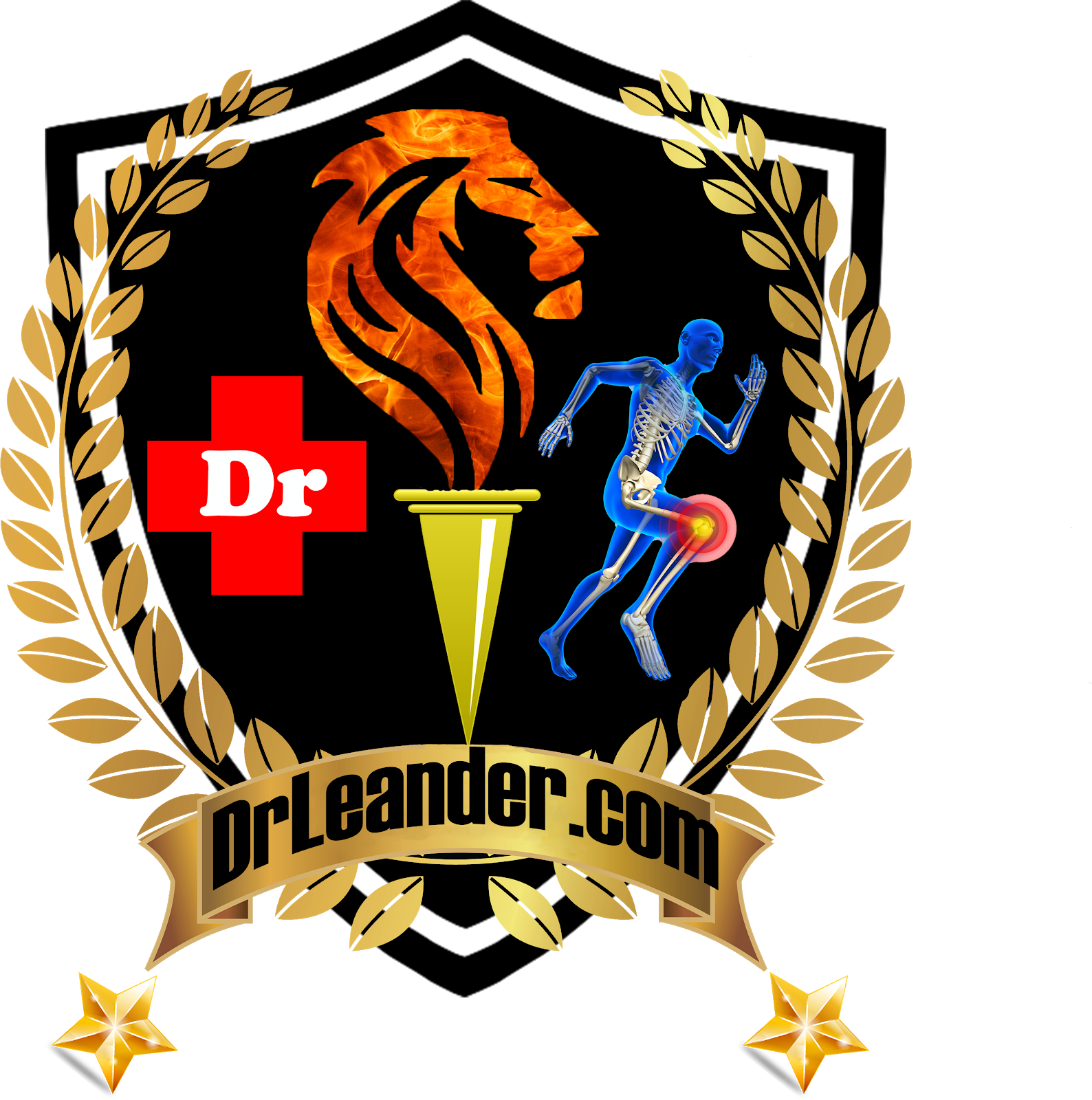DNB MS Orthopaedics Online Courses Dr.Prashant Madan Mohan MD DNB