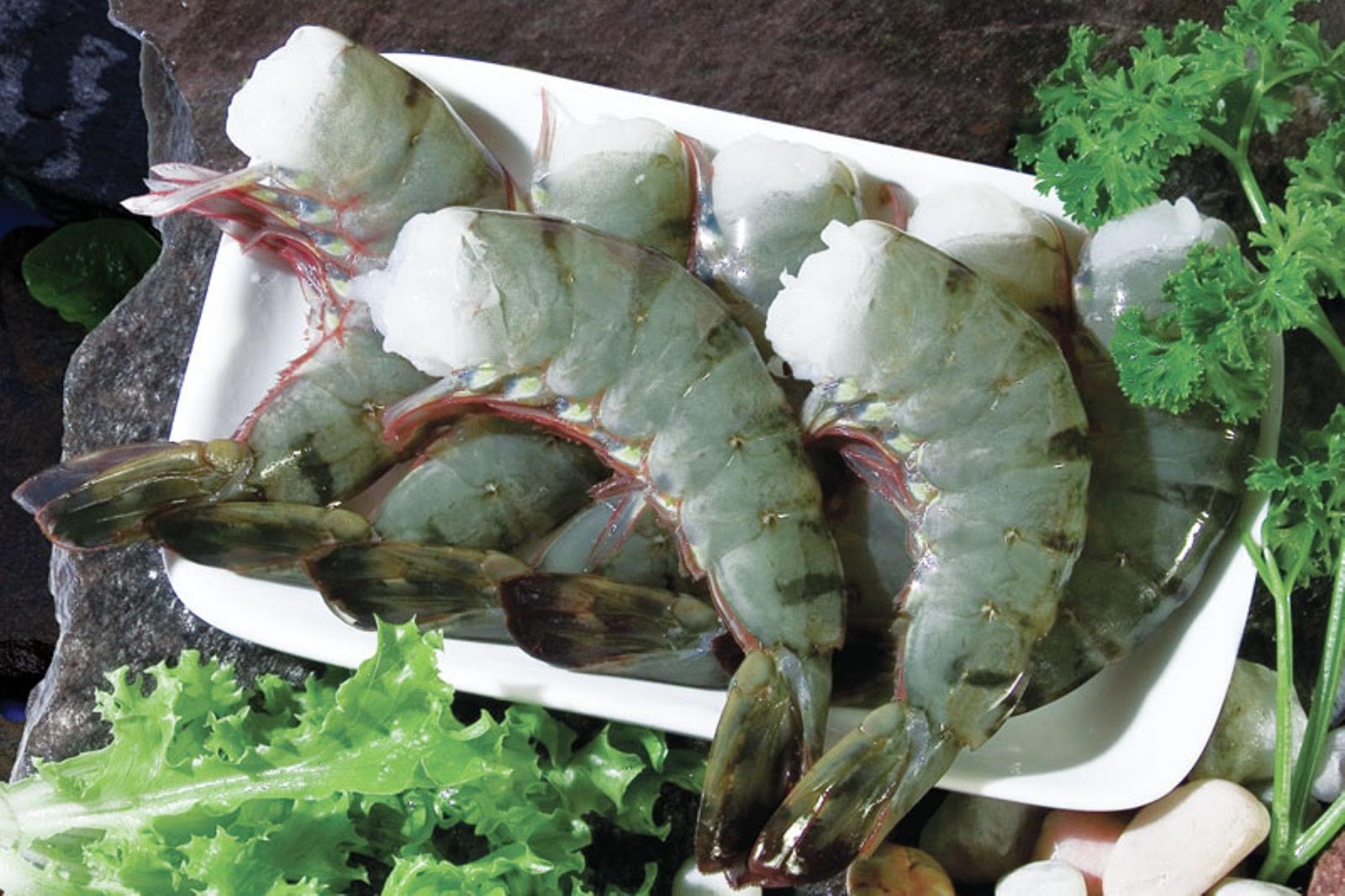 Black Tiger Shrimps Suppliers, Asian Tiger Shrimps, Giant Shrimps