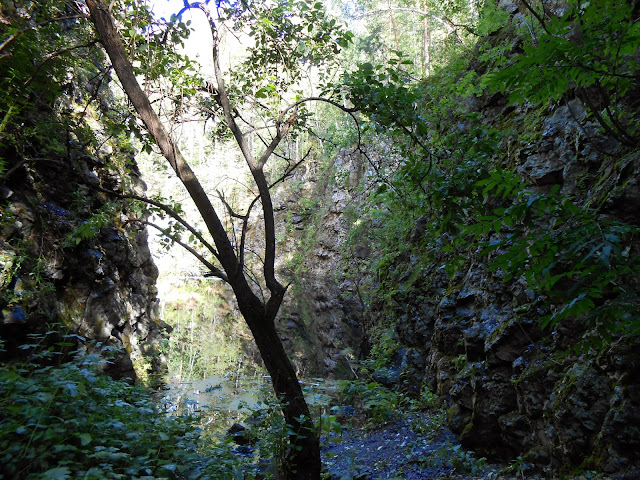 Курочкин лог первый карьер