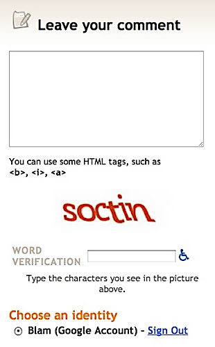Screenshot of Word Verification box with prompt characters reading 'soctin'