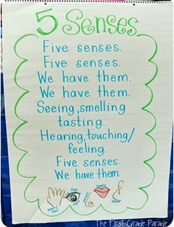 The Power of Primary Learning: Five Senses: Science Exploration