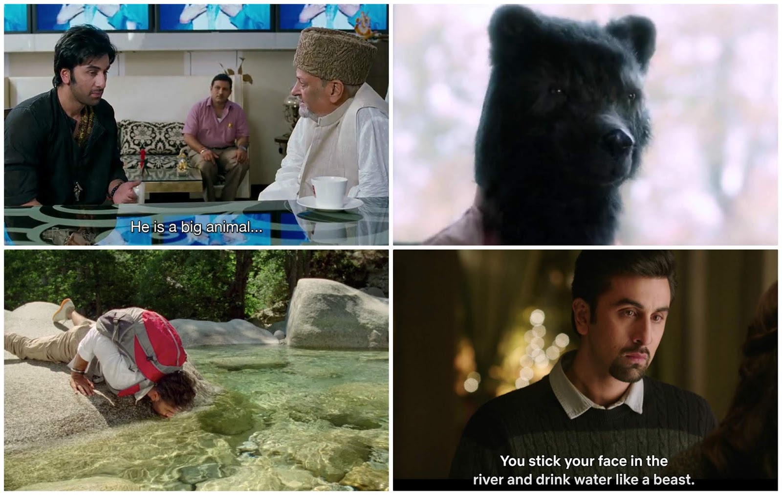 Dichotomy of Irony: Laila Majnu—Love is Madness