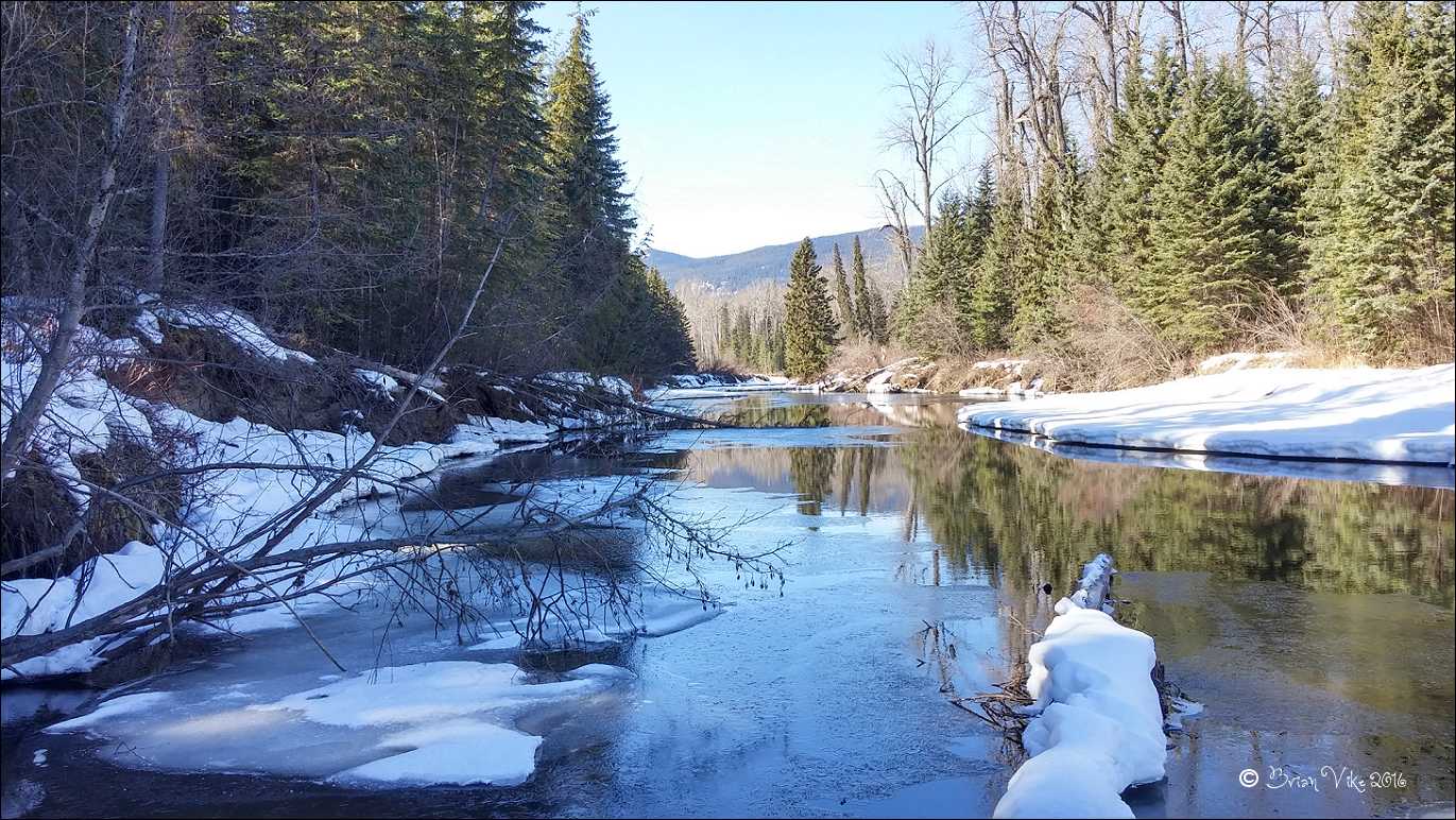 Northern Interior British Columbia: Spring On The Bulkley River Houston