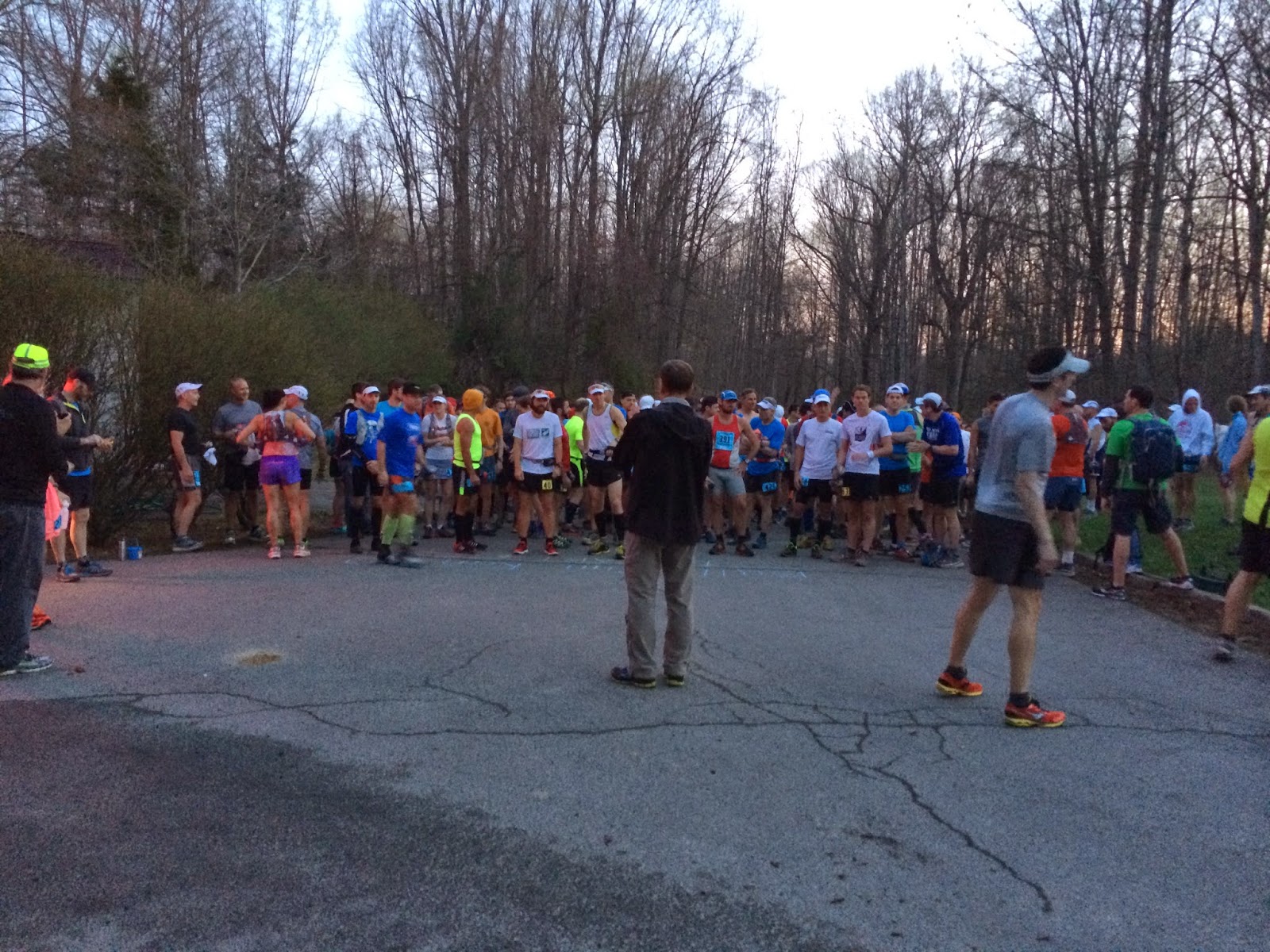 Asphalt Impaired Recount 10 Bull Run Run 50 Miler