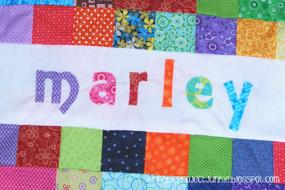 Erratic Project Junkie "N" is for Names