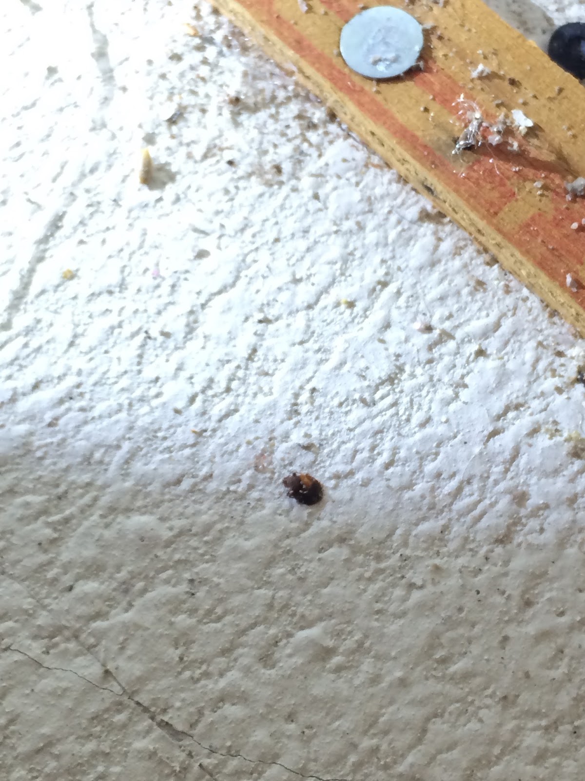 BCA Mortgage Fraud Blog