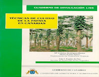 Técnicas de cultivo de la papaya en Canarias | Gobierno de Canarias técnicas-de-cultivo-de-la-papaya-en-canarias