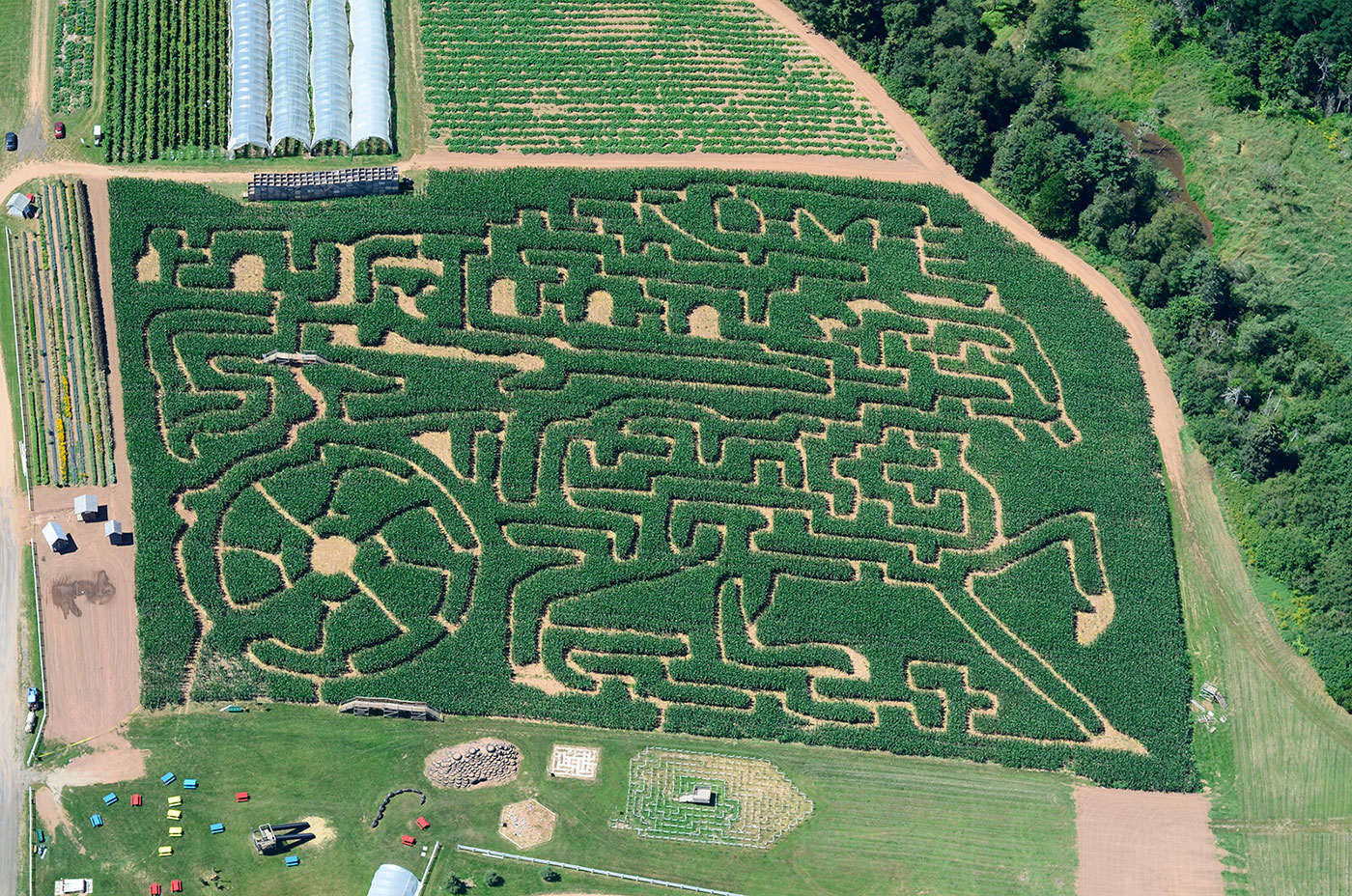 Travel with Kevin and Ruth Noggins Farm Corn Maze. Amazing!