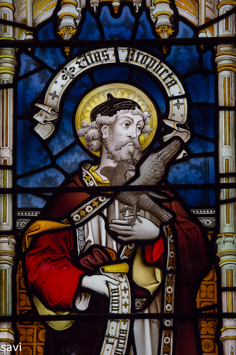 sacerdos viennensis Elija