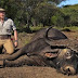 Adventure of African Hunting Safari