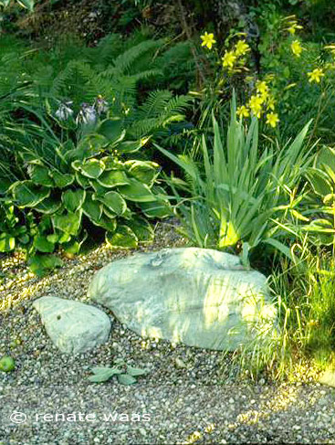 Gartenblog Geniesser Garten Gartenteich Teichrand Ideen Und