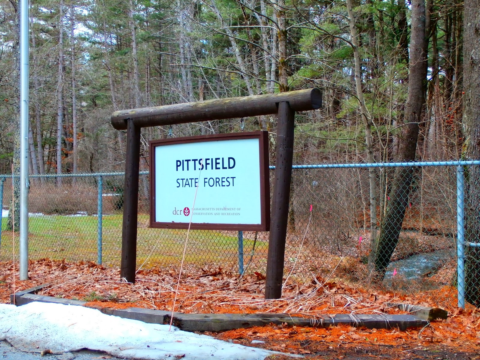 Pittsfield State Forest Mountain Bike Trails