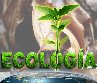 ecologia básica