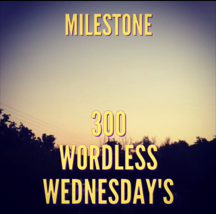 MomAgain@40 Why I am still doing Wordless Wednesday's?