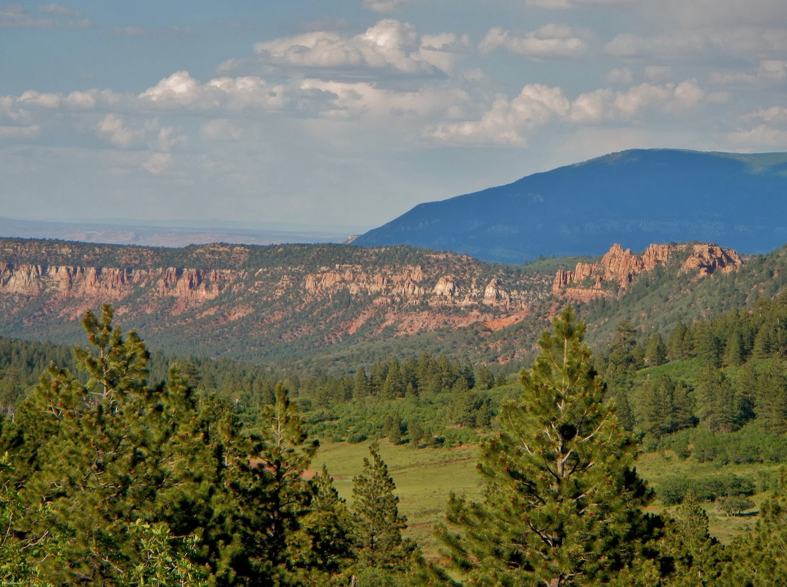 National The Manti Part Southwest La-Sal Eyes: - Adventure Brown The Through Forest Wide