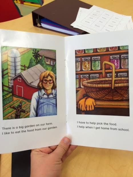 Learning To Read: PCI Reading Program – My Special Learners