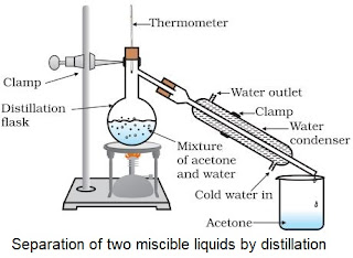 case study of chapter 2 science class 9